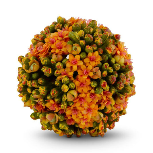 4 Inch Orange Kalanchoe Ball