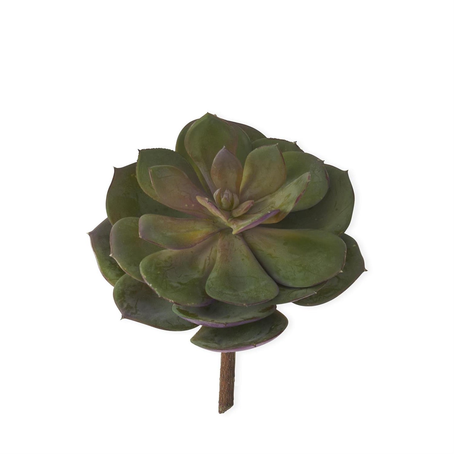 7.5 Inch Green & Burgundy Succulent Pick