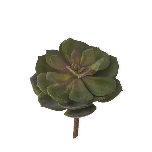 7.5 Inch Green & Burgundy Succulent Pick