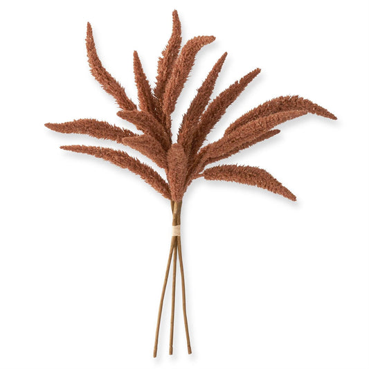 24 Inch Rust Millet Bundle (3 Stems)