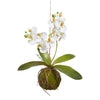 15" Real Touch White Orchid with Moss Ball