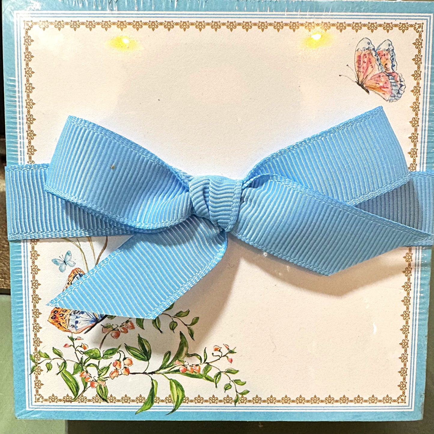 Mini Luxe Notepad Handpainted Turquoise and orange Butterfly and Vines Turquoise Border