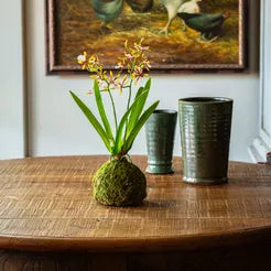 Mini Vanda Orchid in Moss Ball Small Gold Amethyst