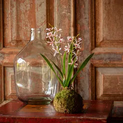 Variegated Pink Mini Orchid Small Moss Ball