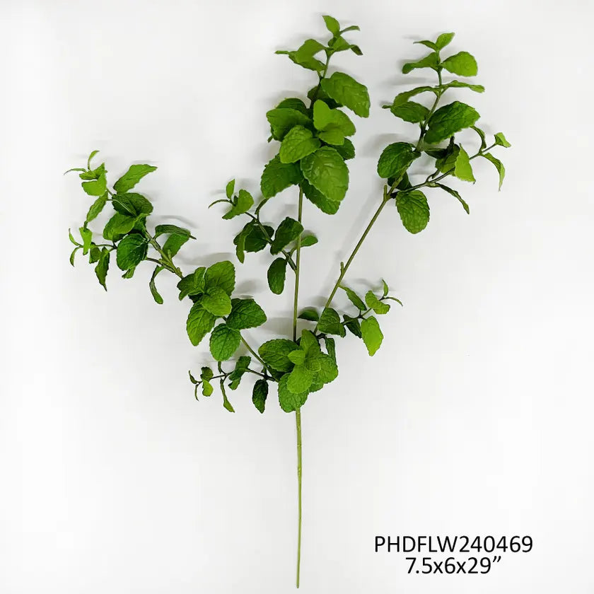 Garden Mint Stem