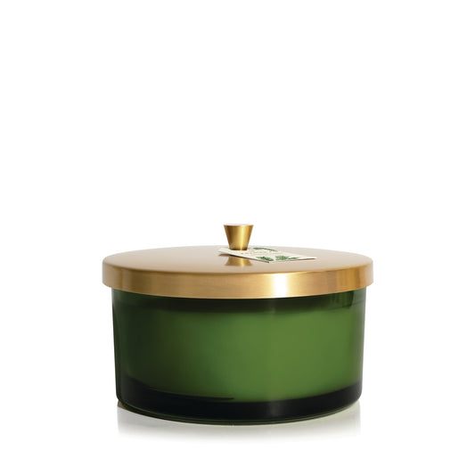 Frasier Fir Green 4-Wick Candle 21oz