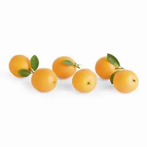 Faux Oranges