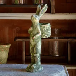 Aged Gathering Rabbit