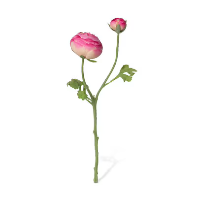 Pink Ranunculus Flowers sold separately