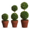 8.5" Potted Mini Boxwood Topiary