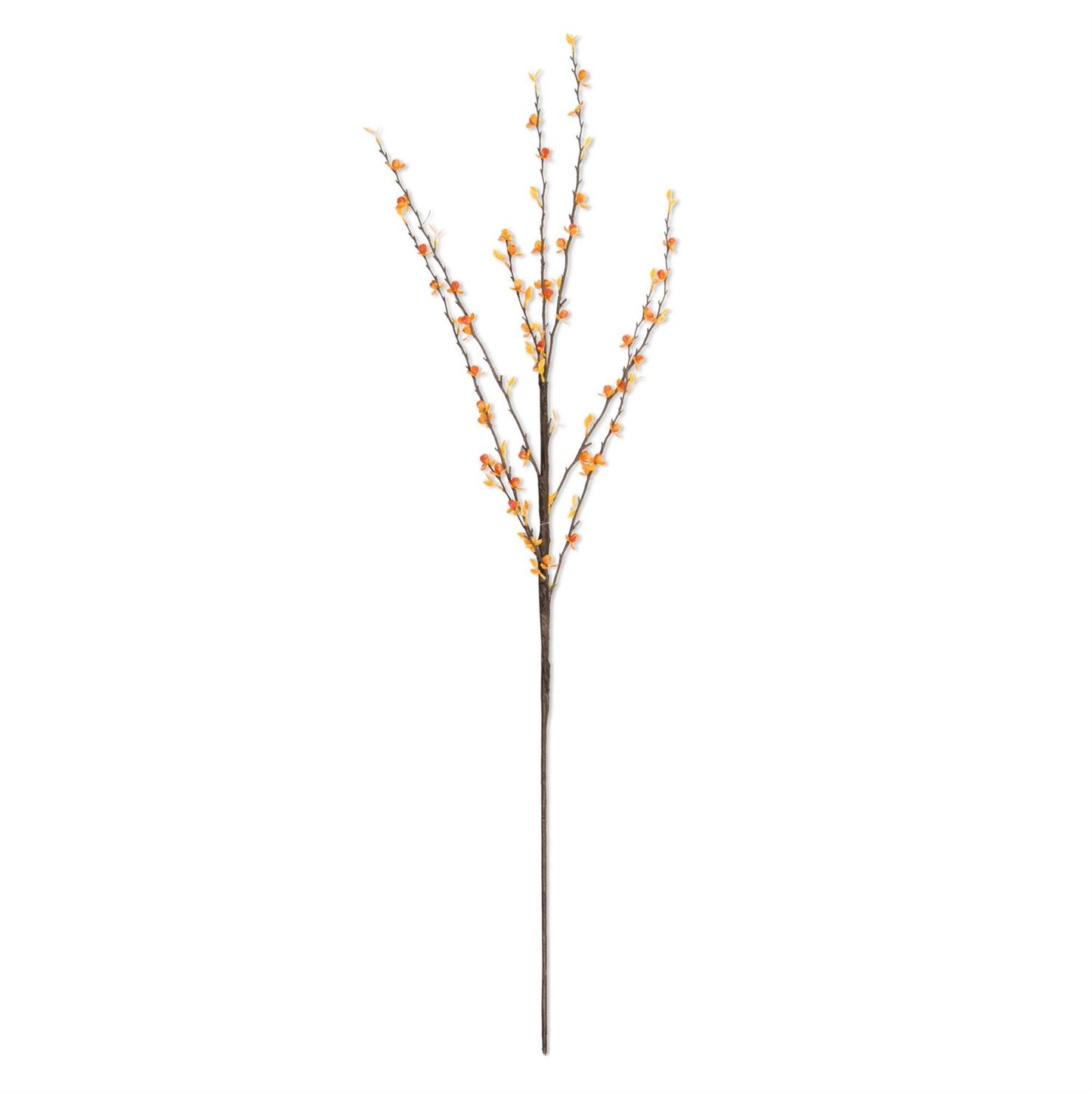 35 Inch Light Orange Bittersweet Stem