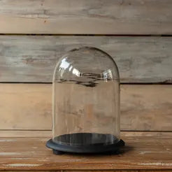 Vintage Style Glass Display Dome w/ Medium Base