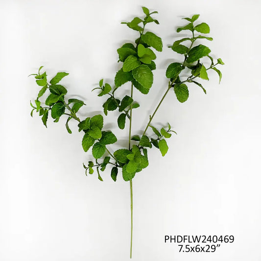 Garden Mint Stem