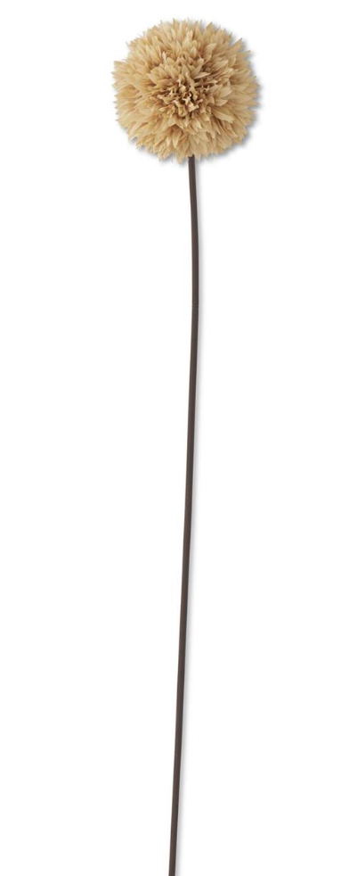 26 INCH TAN ALLIUM STEM