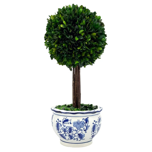 Boxwood Ball Topiary Tree in Blue & White Ceramic Pot