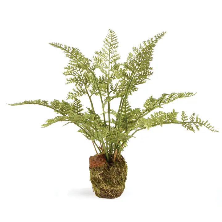Soft Fern Drop-in 8.5"