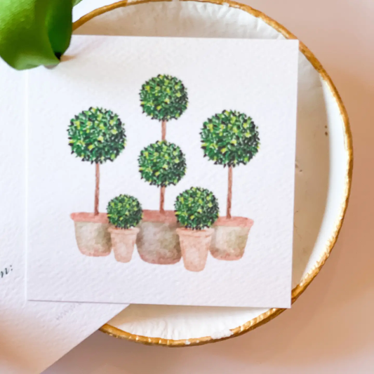 Watercolor Boxwood Topiary Grouping Gift Tag (12 Tags)