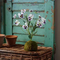 Viloa Lavender-White In Moss Bal