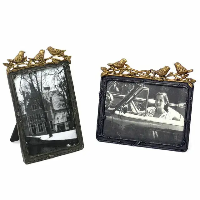Pewter Frame with Gold Leaf Birds