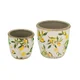 Large Lemon Planter